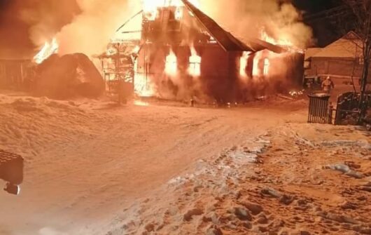 Пожар 17 января в Демянском районе, дер. Мстижа
